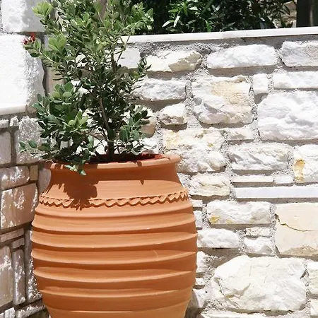 Apartment Anna's Parikia